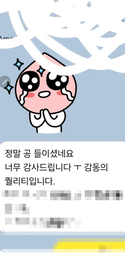 벤츠 SL63AMG 무광실버 STEK PPF 1인시공 / 강남, 개포, 양재