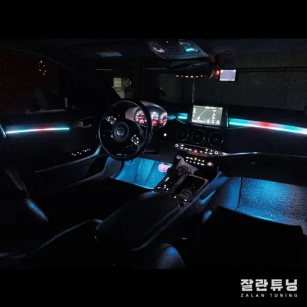 스팅어 엠비언트 안그래도 이쁜차에 조명빨까지 더하면?? / 경기 안성