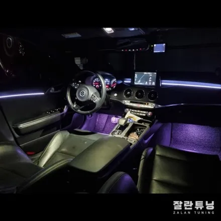 스팅어 엠비언트 안그래도 이쁜차에 조명빨까지 더하면?? / 경기 안성