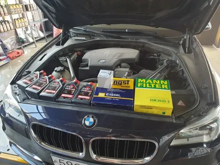 [제노사이드] 김포 장기동 튜닝 멀티샵 BMW F10 엔진오일           합성엔진오일 교환 / 김포시 장기동
