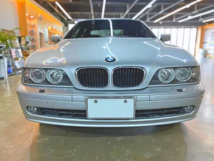 BMW 530i 올드카도 엑스펠 달서구 썬팅으로 시공 / 대구 서구 이현동