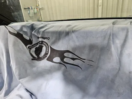 [썬팅] 르노 필랑트, 블락포디 비오츠 22%로 완성한 저반사 프라이버시 완벽한 시공 / 대구 서구 이현동