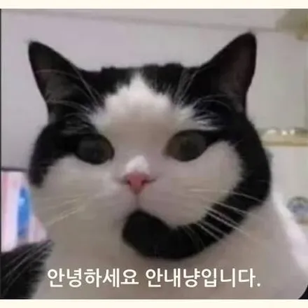 [전동트렁크/2열자동폴딩] 볼보 S60 전동 트렁크와 2열 시트 폴딩 버튼 튜닝 시공기 / 대구 서구 이현동