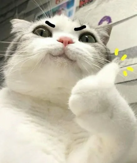 [썬팅] 테슬라 모델 YL 선팅, 열 차단 효과 높이는 꿀팁 / 대구 서구 이현동