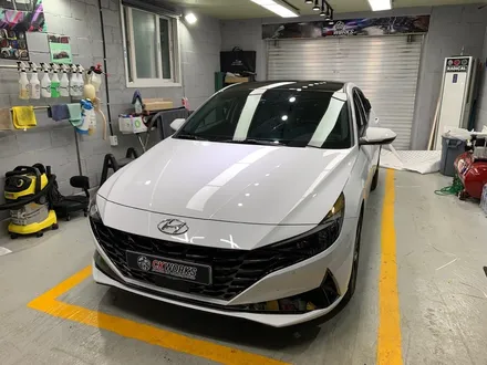 원주 아반떼CN7 3M2080 블랙유광 루프스킨 / B,C필러 하이그로시 교체 원주자동차랩핑전문점 / 원주시 반곡동