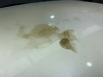 원주자동차랩핑전문점 K5 3세대 루프스킨 제거 및 재시공_원주랩핑잘하는곳_원주카스킨_원주PPF전문시공점 / 원주시 반곡동