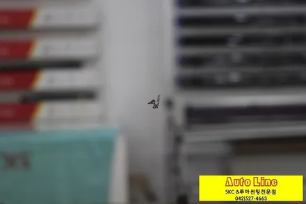 대전 윈도틴팅, 그랜드카니발 SKC 마스터즈로 전면썬팅!!