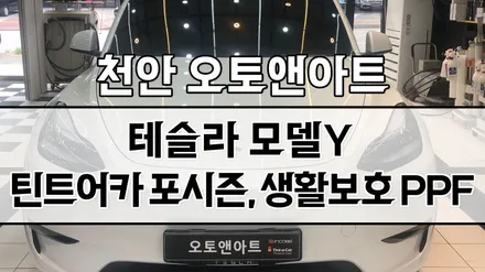 천안 신차검수 / 테슬라 모델Y 발수코팅, 썬팅, 기스보호필름 PPF / 천안,청주,세종,대전