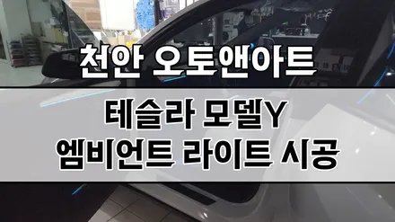 천안 테슬라 모델Y 엠비언트 라이트 설치장착 튜닝시공 / 테슬라 / 모델Y / 천안,청주,세종