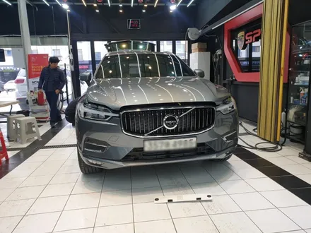 천안 볼보 XC60 PPF 썬팅 퀄리티가 남달라요 / 천안,청주,세종,대전
