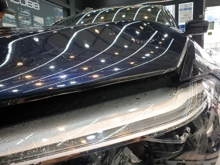 틴트어카 PPF 최고등급 타르가LX BMW 530i 본넷 라이트시공 / 천안,청주,세종,대전