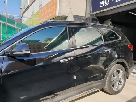 맥스크루즈 틴트어카 고스트로 블링블링~ / 천안,청주,세종,대전