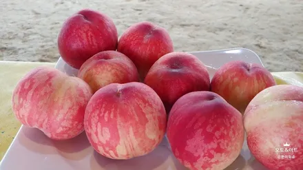 천안 신차패키기 그랜져IG 작업 중 열차단썬팅 틴트어카 포시즌으로 시공완료~! / 천안,청주,세종,대전