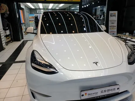 테슬라모델 Y  2열과 열선 농도 맞추기 2탄 (feat. 포시즌50%) / 천안,청주,세종,대전