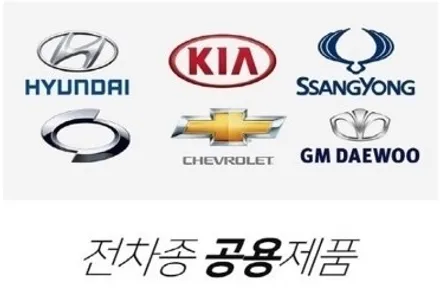 [천안]최고의 풍절음차단~! 가장 주목받는 윈드킹 올뉴카니발 장착 / 천안,청주,세종,대전