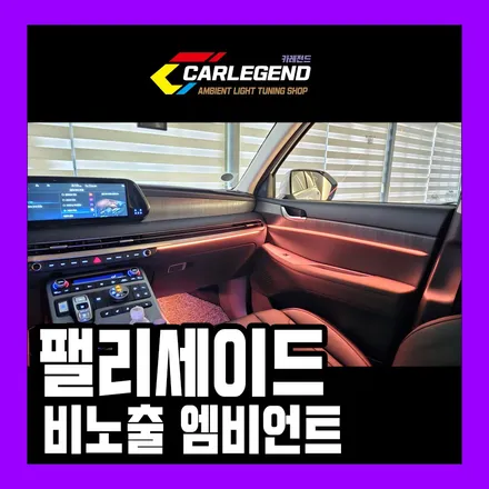 팰리세이드 엠비언트 순정 그 이상 비노출 기술력으로 승부합니다 / 용인,동탄,수원