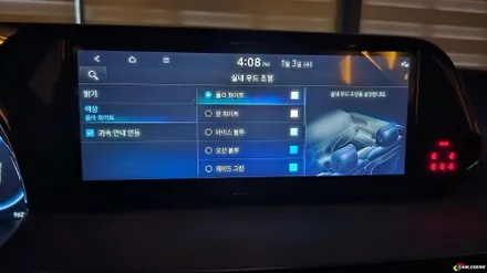 용인,동탄,수원 / 비노출 엠비언트 / 현대 / 팰리세이드