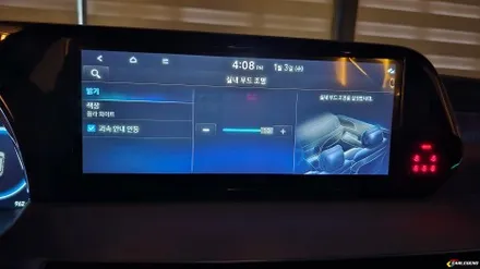 용인,동탄,수원 / 비노출 엠비언트 / 현대 / 팰리세이드