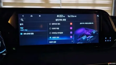 팰리세이드 엠비언트 순정 그 이상 비노출 기술력으로 승부합니다 / 용인,동탄,수원