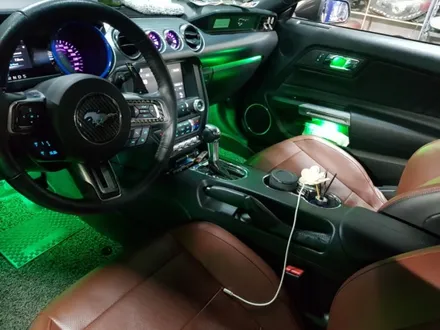 머스탱 비노출 엠비언트 / 남양주, 노원, 하남, 송파