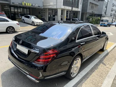 은평구썬팅  진관동 벤츠S550 하버캠프 세라믹본드로 재시공! / 고양 덕양구 원흥동